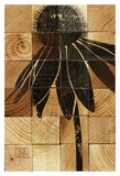 Cone Flower Wood Block Posters by Suzanna Anna