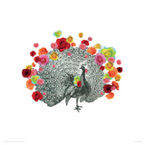 Peacock Reproduction procédé giclée par John Murphy