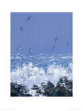 The Western Rocks Giclee Print by Robert Jones