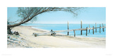 Beach Tree With Jetty Giclee Print by Alexander Slatter