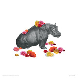 Hippo Impressão giclée por John Murphy Hippo Impressão giclée por John Murphy