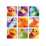 Duck Family Portraits Reproduction procédé giclée par Ian Winstanley