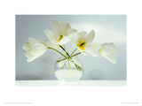 Early One Morning Giclee Print by Paul Beauchamp