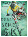 Grab Some Sky Lámina por Janet Kruskamp