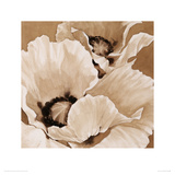 Sepia Summer I Giclee Print by Maggie Thompson