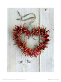 Picante II Giclee Print by Howard Shooter