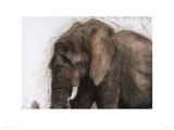 Take One Step Giclee Print by Kelly Stewart