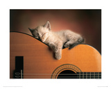 Sleeping Soundly Giclee Print by Xavier Chantrenne