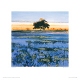 Blue Field, France Giclee Print by Lydia Bauman