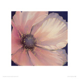 Pale Pink Petals Giclee Print by Maggie Thompson