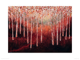 Magical Woodlands Giclee Print by Serena Sussex