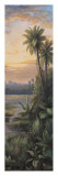 Tropical Lagoon II Prints by Montoya 