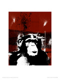 Graf Monkey Giclée-Druck von Tim Andrew