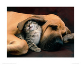 Beste Freunde Giclée-Druck von Xavier Chantrenne
