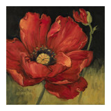 Poppy Blossom II Posters por Barbara Mock Poppy Blossom II Posters por Barbara Mock