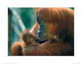 Tender Feeling Giclée-Druck von Anup & Manoj Shah