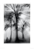 Controlled Burn & Dodge  I Giclee Print by Bob Kobbrener