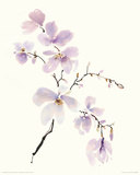 Gentle Breeze I Giclee Print by Summer Thornton