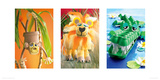 Monkey, Lion, Crocodile Giclee Print by Howard and Lauren Shooter and Floodgate