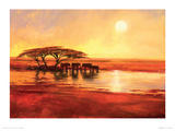 The Watering Hole Giclee Print by Jonathan Sanders