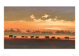 Wading Elephants Giclee Print by Jonathan Sanders