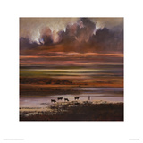 Cattle at Sunset Giclee Print by Jonathan Sanders