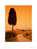 Bella Toscana Giclée-Druck von Tom Mackie