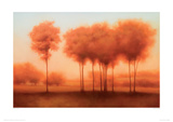 Auburn Shade Giclee Print by Darlou Gams
