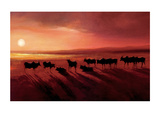 Zebu At Dusk Giclee Print by Jonathan Sanders