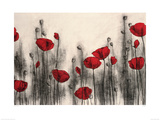 Red Poppies Giclée-Druck von Hans Andkjaer