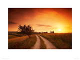 Under the Tuscan Sun Giclee Print by Tom Mackie