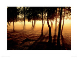 Mist & Sunlight Giclee Print by Jan Tove