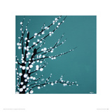 Chinese Blossom Giclee Print by Simon Fairless