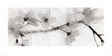 Ice Form 22 Giclee Print by Ryuijie Douglas
