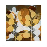Chocolate Sun Giclee Print by Sarah Leslie