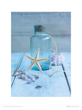 Seaside Treasure Giclee Print by Howard Shooter