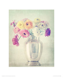 Lustre Giclee Print by Shana Rae