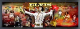 Elvis Presley - Framed Elvis Photoramic (Panoramic Timeline Photo) Framed Memorabilia