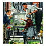 "Fish Aquarium", October 30, 1954 Giclee Print by Stevan Dohanos