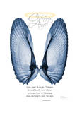 Christmas Angle Wings Posters by Albert Koetsier