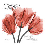 Royal Red Tulip, Faith Prints by Albert Koetsier