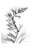Fox Glove in Full Bloom Affiches par Albert Koetsier