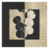 Eucalyptus on Squares Poster by Albert Koetsier