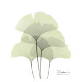 Ginkgo Quad in Green Art by Albert Koetsier