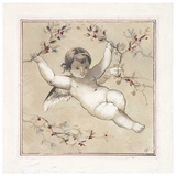 Face d'Ange Prints by Pascal Cessou