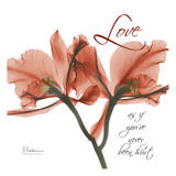 Royal Red Orchid, Love Prints by Albert Koetsier