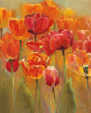 Tulips in the Midst I Posters par Marilyn Hageman