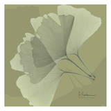 Leaves Trio on Green Posters by Albert Koetsier