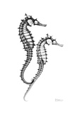 Albert Koetsier - Sea Horse Twins - Art Print