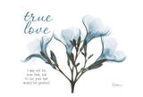 Blue Oleander, True Love Lámina por Albert Koetsier